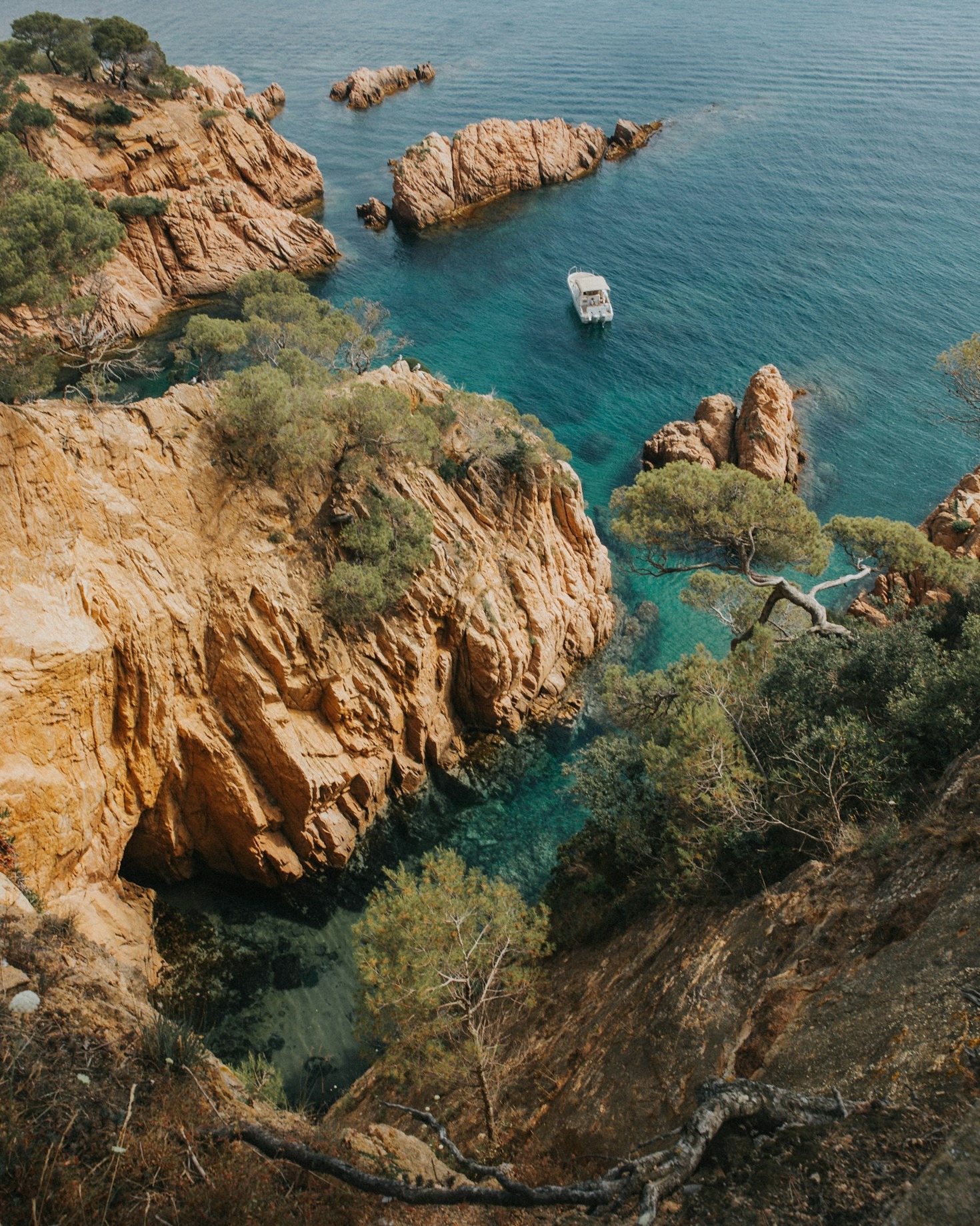 The Best Mediterranean Food Experiences You Can’t Miss